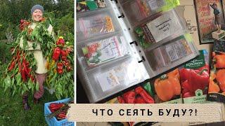 Моя коллекция семян перца из 100 сортов  Как храню семена  Что посею в 2023  My pepper collection