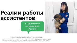 Реалий работы ассистентов в современной ветеринарной клинике