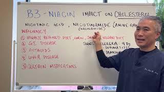 NIACIN Vitamin B3 Impact on Cholesterol