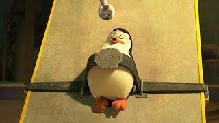 DreamWorks Madagascar  Penguins Captured  Penguins of Madagascar  Kids Movies