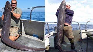Amazing Giant Eel Fishing Skill on the Sea - Fastest Catching & Processing Eel Fish