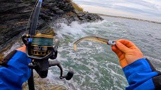 Surfcasting Rhode Island For Striped Bass And Bluefish