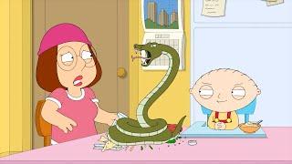 Family Guy Season 22 Episode 06 -  Family Guy 2024 Full Episode NoCuts #1080p