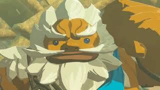 Daruks Delectable Rocks The Legend of Zelda Breath of the Wild YTP