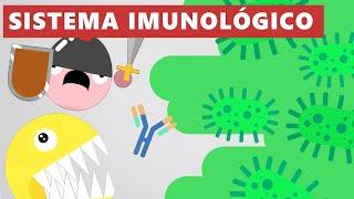 Como funciona o sistema imunológico? - Universo Explicado ANIMAÇÃO