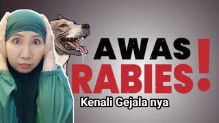 WASPADA ⁉️. ini cara Mengenali tanda ANJING terkena RABIES