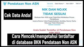 Cara Mencek dan mengetahui terdaftar di database BKN Pendataan Non ASN di Tahun 2024