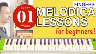 Melodica Lessons for Beginners 01 Fingers