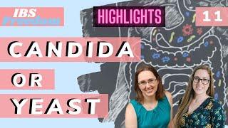 IBS Freedom Podcast #11 Yeast or Candida  - Explained What it is How to Treat Candida Diet