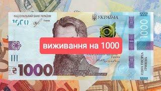 #30. Фінал. Припустимо живу місяць на 1000 гривень