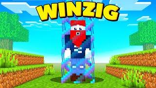 BENX SPIELT MINECRAFT WINZIG