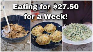 Eating for $27.50 for a Week from Dollar Tree  How to Stretch Food  Low Grocery Budget Meals