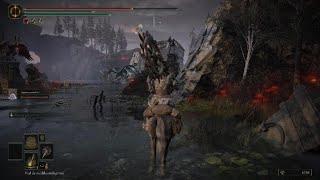 ELDEN RING Shadow of the Erdtree Death Rite Bird boss fight