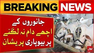 Maweshi Mandi 2024  Bakra Eid 2024  Pakistan Cattle Farm  Breaking News