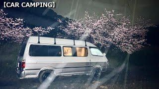 Sleeping in the car while watching the cherry blossoms bloom beautifully in the heavy rain