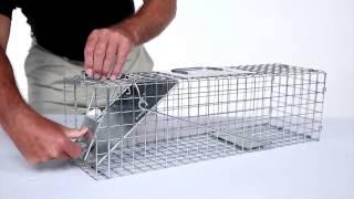 How to Set Havahart® Medium 1-Door Trap Model #1078 for Skunks Rabbits & Squirrels