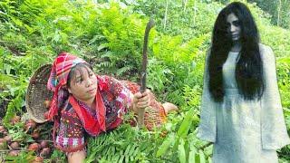 Single mother in danger in the forest - Harvesting natural fruits for sale  Nhim single mom