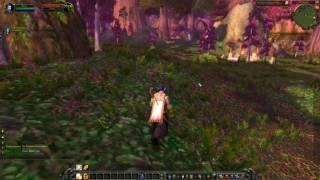 World of Warcraft The Emerald Dreamcatcher Alliance Quest Guide   Uruson Rare Spawn Location