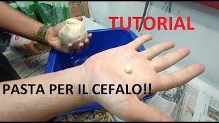 TUTORIAL - Come preparare la nostra pasta per la pesca al cefalo con qualche trucchetto utile 