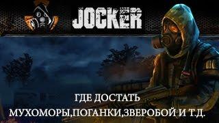 Stalker Online Где достать мухоморыпоганкизверобой и т.д.