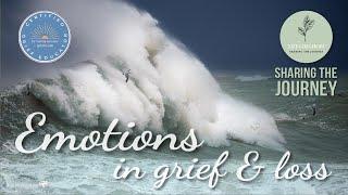 Emotions in Grief and Loss