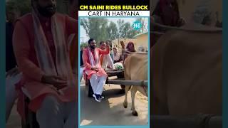 CM Nayab Singh Saini Rides Bullock Cart Discusses Farmer Issues In Haryana