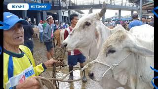 Biyahe Ni Timmy  Baka Kalabaw At Kambing Kumusta Kaya Ang Presyo Ngayong Papalapit Ang Pasko?