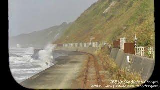 【運休】日高本線（線路被害区間を被災前に撮影～rear window view）