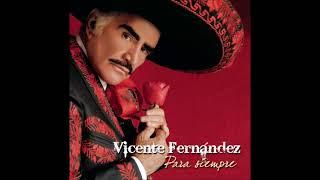 Vicente Fernández - El Rey.