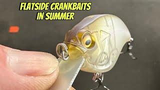 Flatsided Crankbaits Work Great During The Summer In THIS Situation…