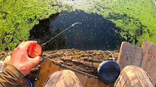 Рыбалка на МОРМЫШКУ и ЗИМНИЕ СНАСТИ летом Ловля на поплавок и маховую снасть