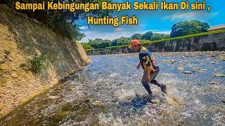 Sampai Kebingungan Banyak sekali Ikan Di sini  hunting fish