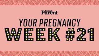 Your pregnancy 21 weeks