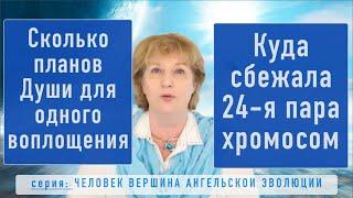 5. Сколько Планов Души для одного воплощения. Куда сбежала 24 пара хромосом