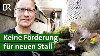 Neuer Laufstall für mehr Tierwohl Darum bekommt Allgäuer Landwirt keine Förderung  Unser Land  BR