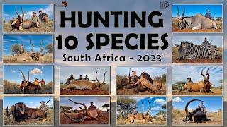 Hunting South Africa 12 animals 10 species with White Lion Safaris