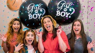 TWIN GENDER REVEAL