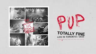 PUP - Totally Fine Live in Toronto  2022 Visualizer