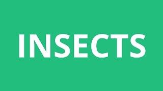 How To Pronounce Insects - Pronunciation Academy