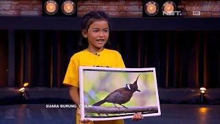 Bisa Nyaring Gitu Suara Anak 10th Niruin Burung Kayak Ada Peluitnya  - GOKIL 24