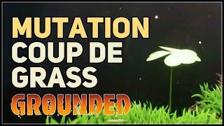 How to get Coup De Grass Mutation Grounded Clover Cave