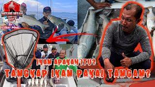 LEBAI MAEL VLOG#11  Ikan Apakah Itu? Tangkap Pakai Tangan? Mastar..