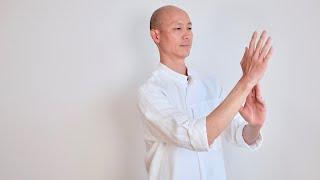 Best Tai Chi for Beginners  2 Seven Stars