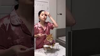 Cat spa day - skincare routine with mommy #shorts30 #viral #shorts28 #spaday #skincareroutine