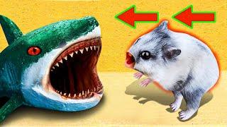 Giant Shark Hamster Obstacle Course  Maze with Traps  + Snake