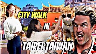 I Met The Coolest Cat in Taiwan Crazy City Walk Adventure