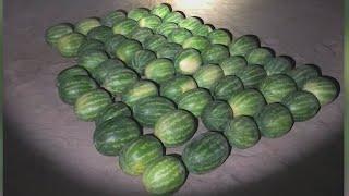 Watermelon heist stopped by Merced County Sheriffs deputies