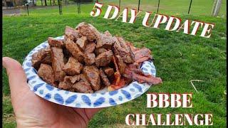 BBBE Challenge  5 Day Update  Carnivore Diet