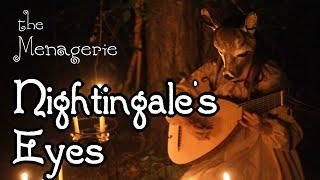 Nightingales Eyes  Dragon Age  - The Menagerie