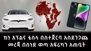 ከነ አፕልና ቴስላ በስተጀርባ አስደንጋጩ መረጃ በሰነድ ወጣ አፍሪካን አጠቧት